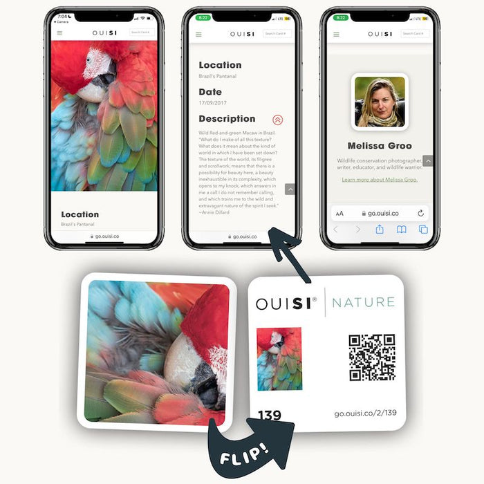 Quisi Games for Creativity, Conversation and Connection | OuiSi
