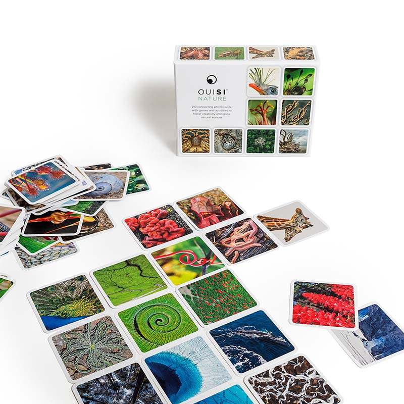 Let's Go Fishing board game  Nature games, Board games, Science games